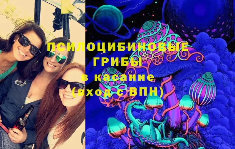 Галлюциногенные грибы GOLDEN TEACHER  Богородск 